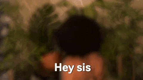 giphy (8)