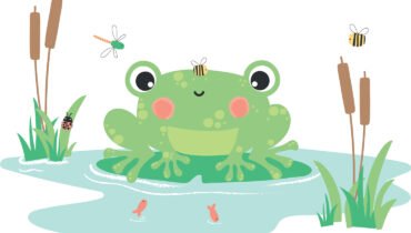 What Frog Are You