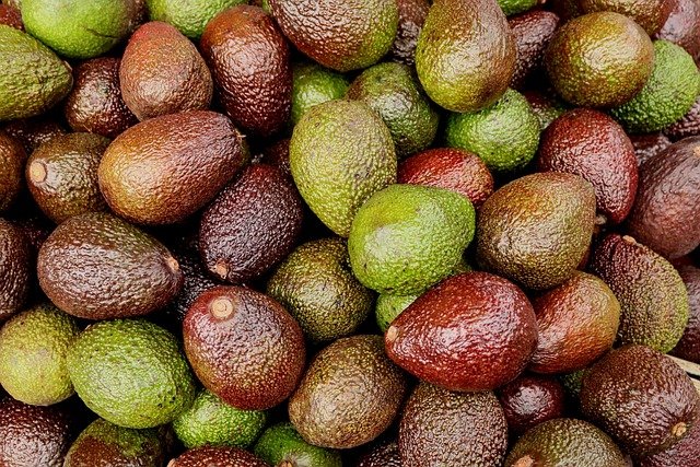 avocados-3399809-640