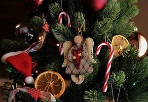 christmas-tree-6883263-640
