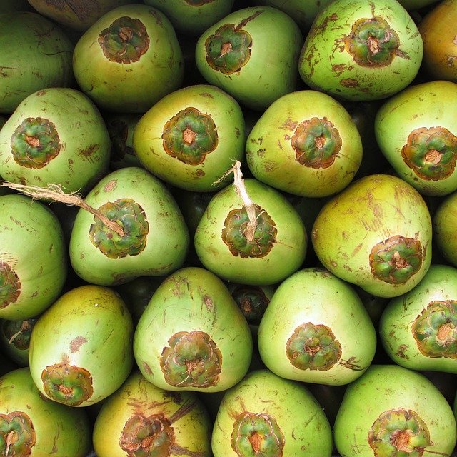coconuts-331262-640