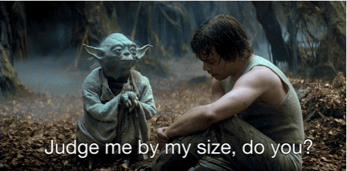 giphy (17)