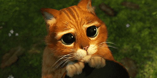 giphy (3)