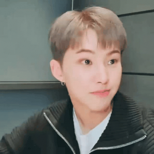hoshi-vlive