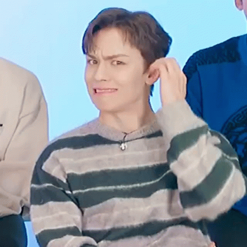 vernon-seventeen