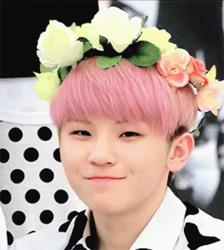woozi-cute