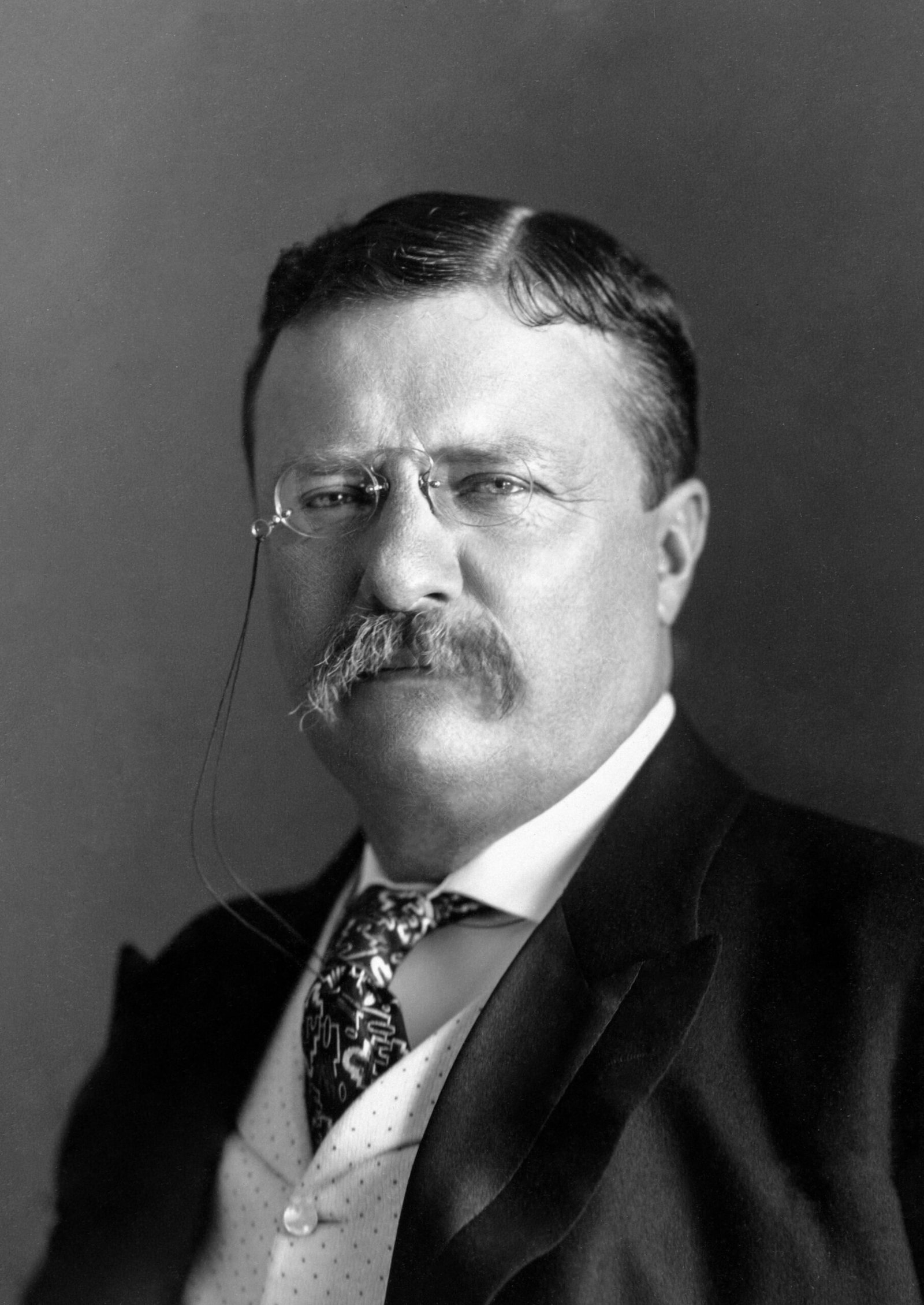 President-Roosevelt---Pach-Bros