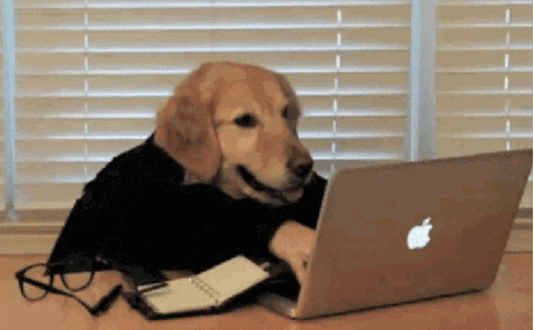 giphy (50)