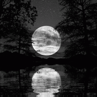 mooon