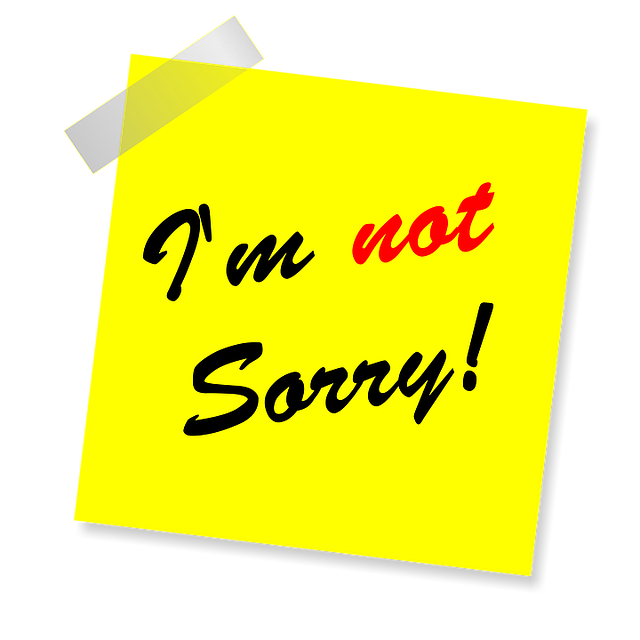should-i-apologize-quiz-this-quiz-will-tell-you-100-honestly_2023-02-24_236075