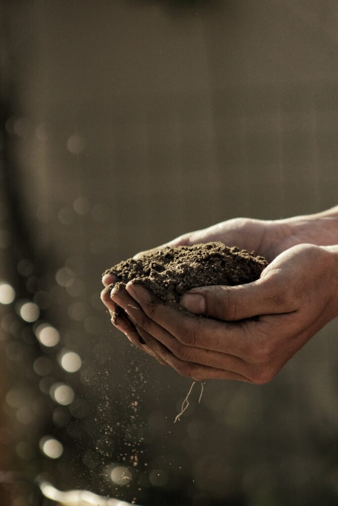soil-test-everything-you-need-to-know_2023-02-20_301096
