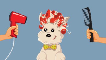 Are You Obsessed With Your Dog?