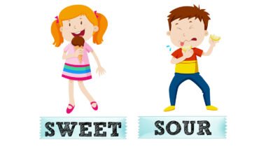 Are You Sweet Or Sour?