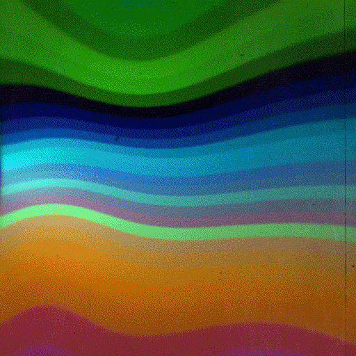 colororskk