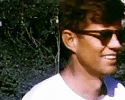 giphy (29)