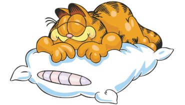 How Garfield Are You?