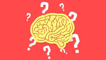 Neuroq Quiz