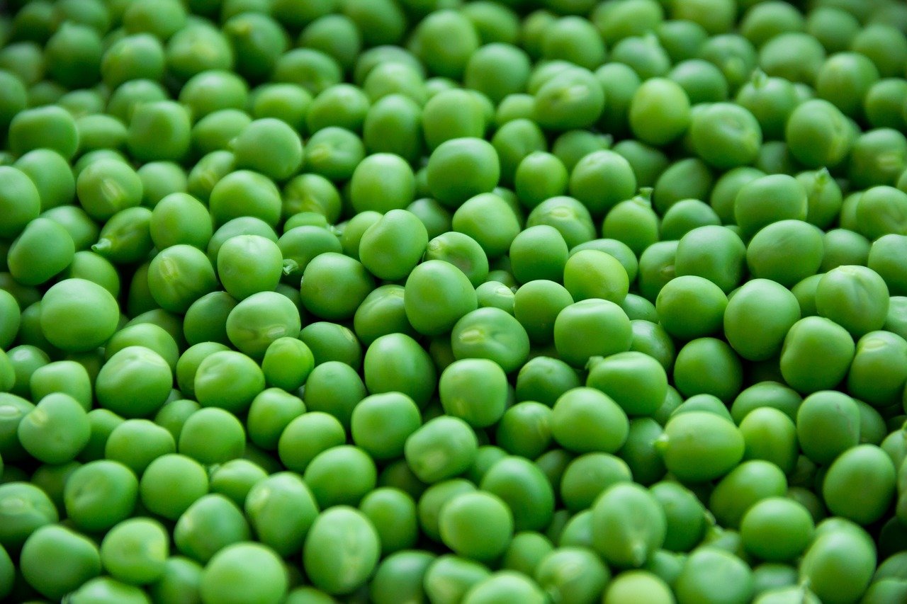 peas-1205673-1280