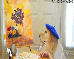 giphy (3)