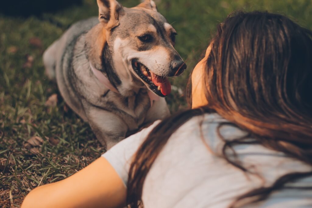are-you-obsessed-with-your-dog-this-100-accurate-quiz-reveals-it_2023-05-22_283148