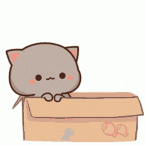 cute-cats