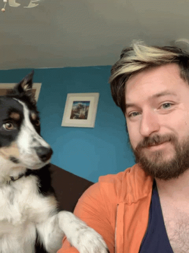 doggo-dog
