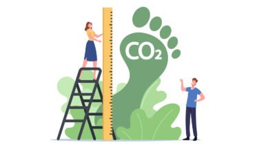 Do You Know Your Environmental Impact?