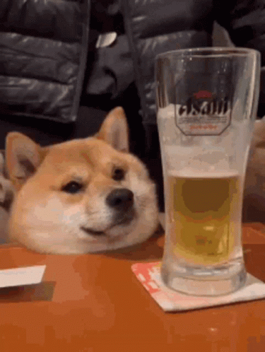 drinking