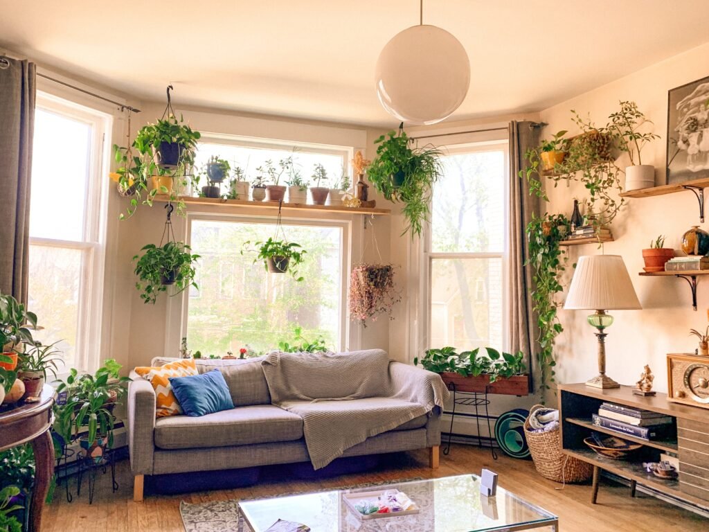 which-house-plant-should-i-get_2023-06-28_058497