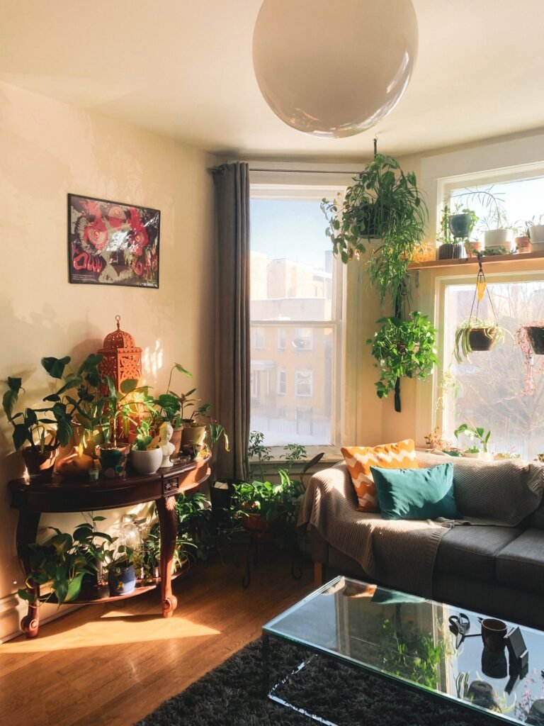 which-house-plant-should-i-get_2023-06-28_374308