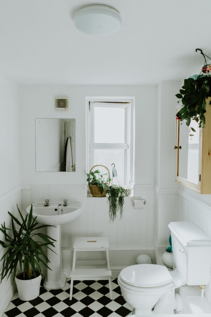 which-house-plant-should-i-get_2023-06-28_421389