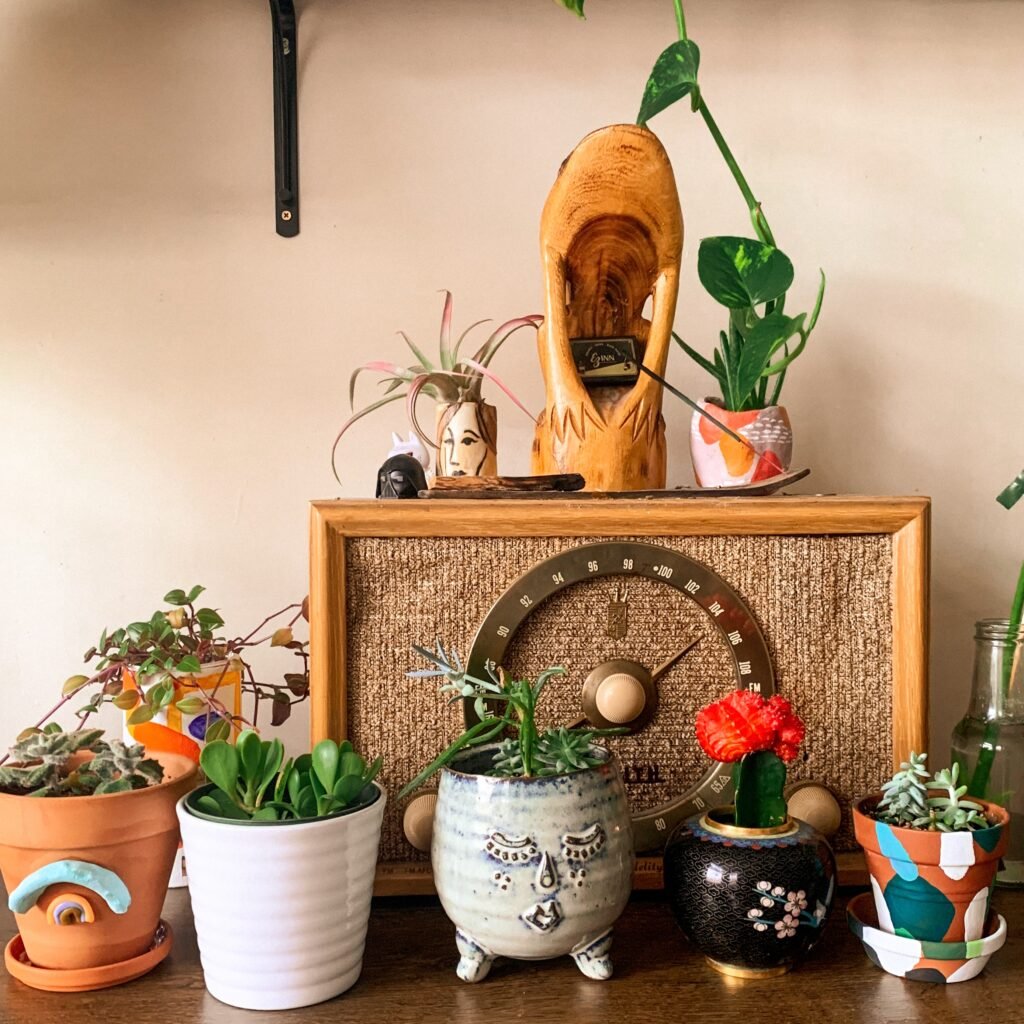 which-house-plant-should-i-get_2023-06-28_689678