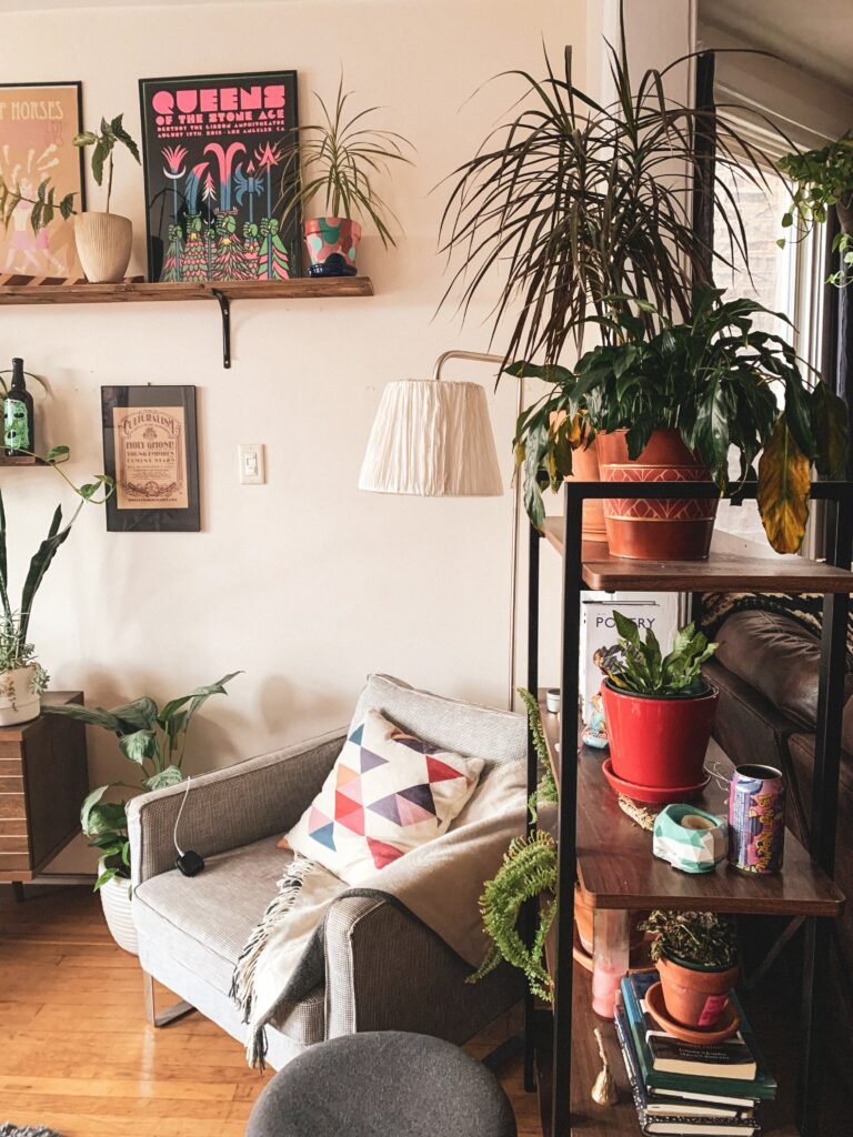 which-house-plant-should-i-get_2023-06-28_795619