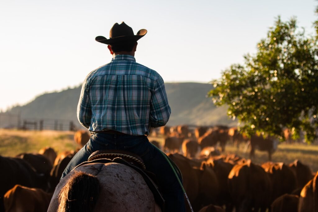 how-cowboy-are-you-test-with-99-accuracy_2023-08-19_579236