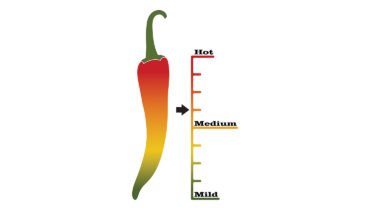 Which Spice Are You?
