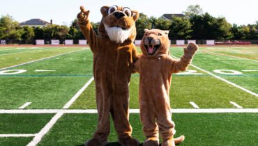 Which Sports Mascot Are You?