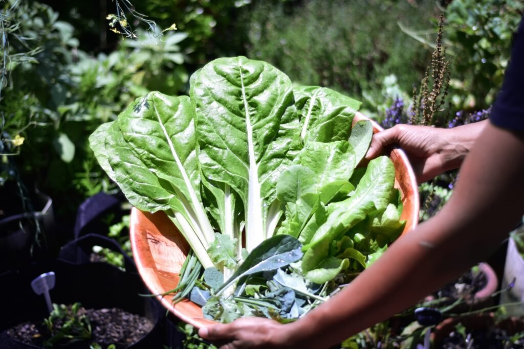 which-superfood-are-you-this-100-accurate-quiz-reveals-it_2023-08-17_984682