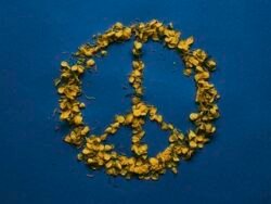peace sign