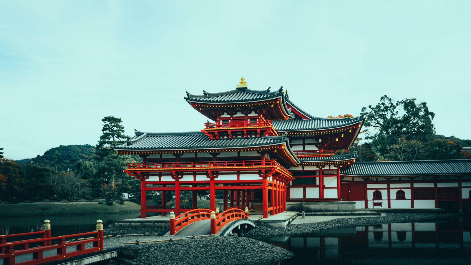 lisheng-chang-4nBeUX7-Tzg-unsplash