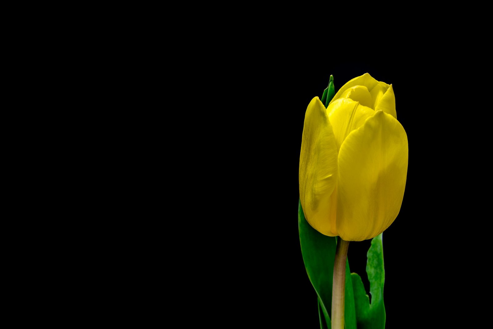 amigo-eugenito-KGbj6fLQA9g-unsplash