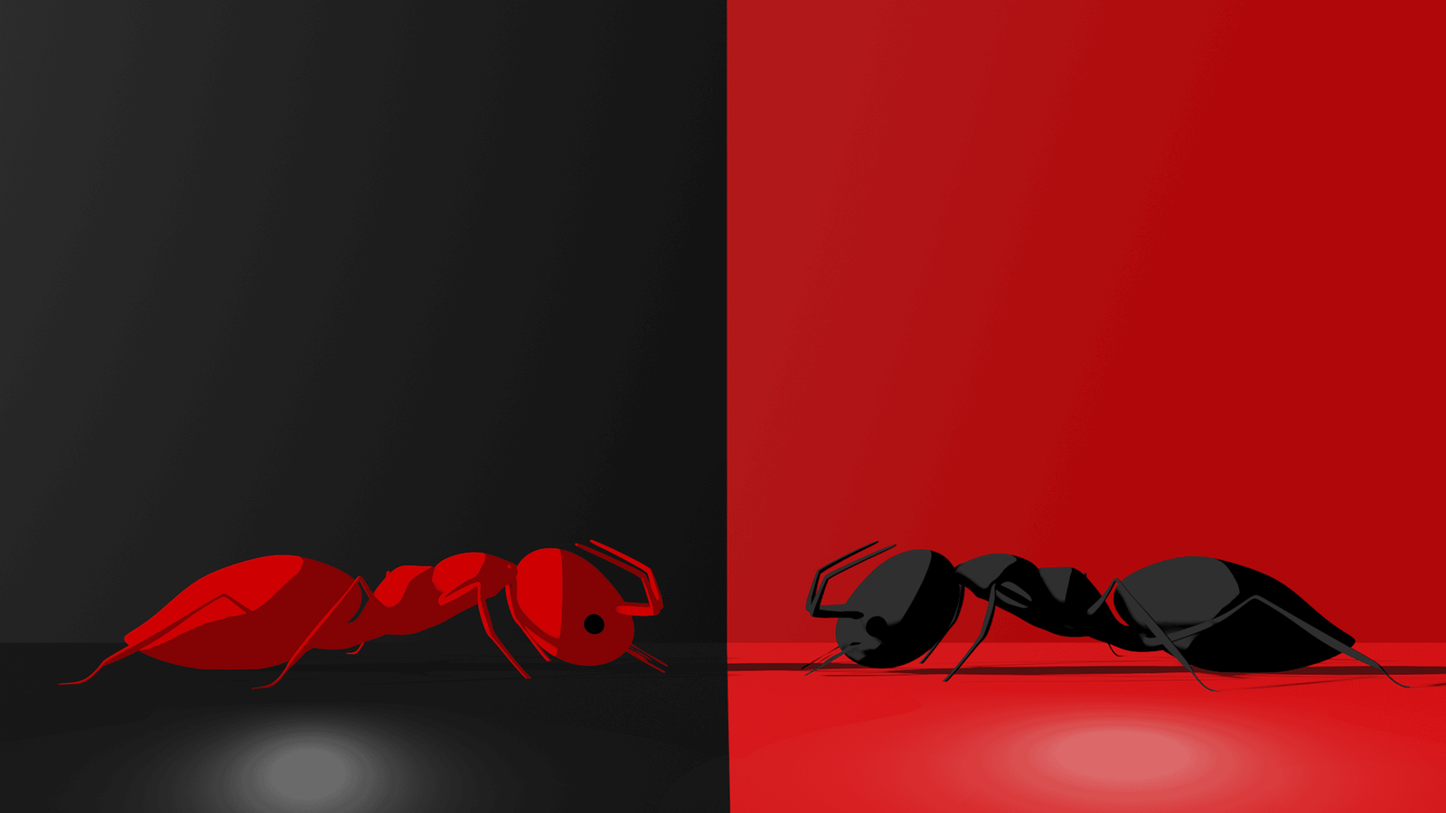 ants-9068947-1920