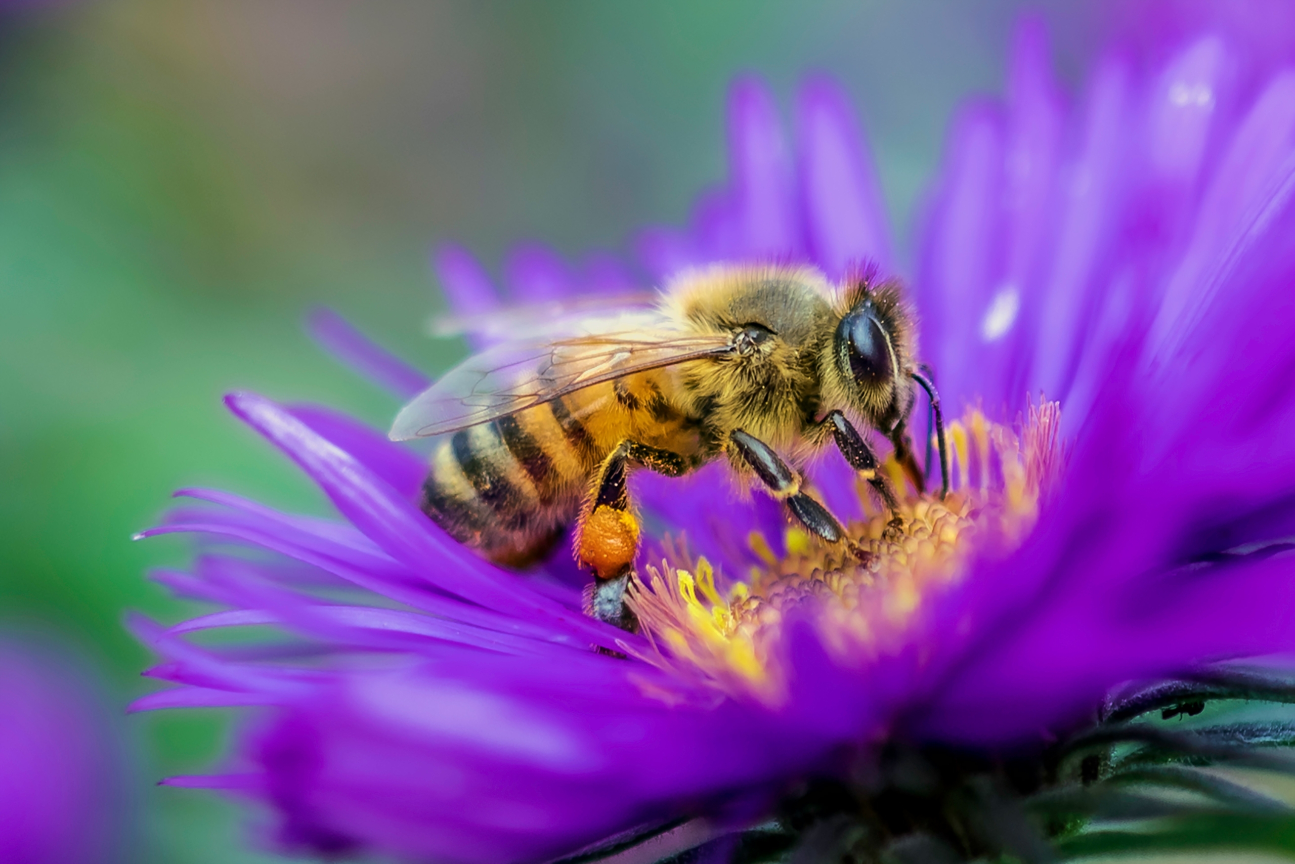 bastian-alexander-coleman-Xd-DRy9jJMc-unsplash