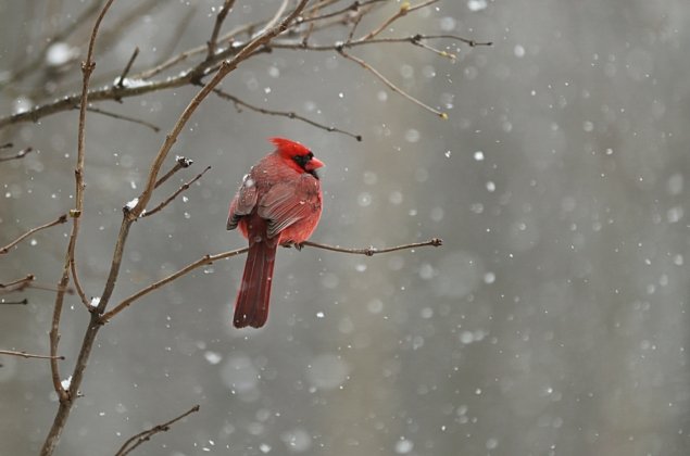chris-chow-D-pMRqXsxgA-unsplash