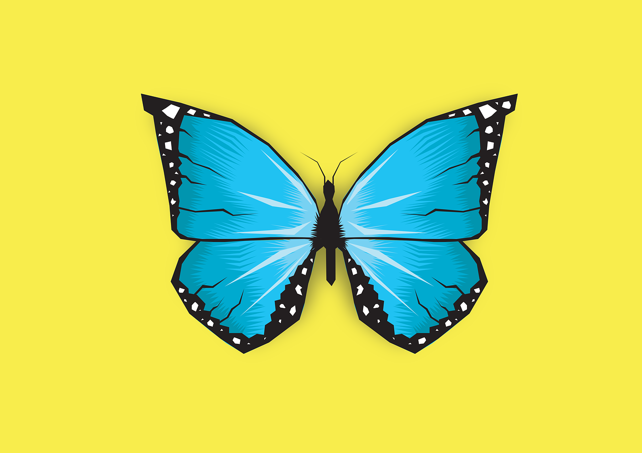 butterfly-2373175-1280