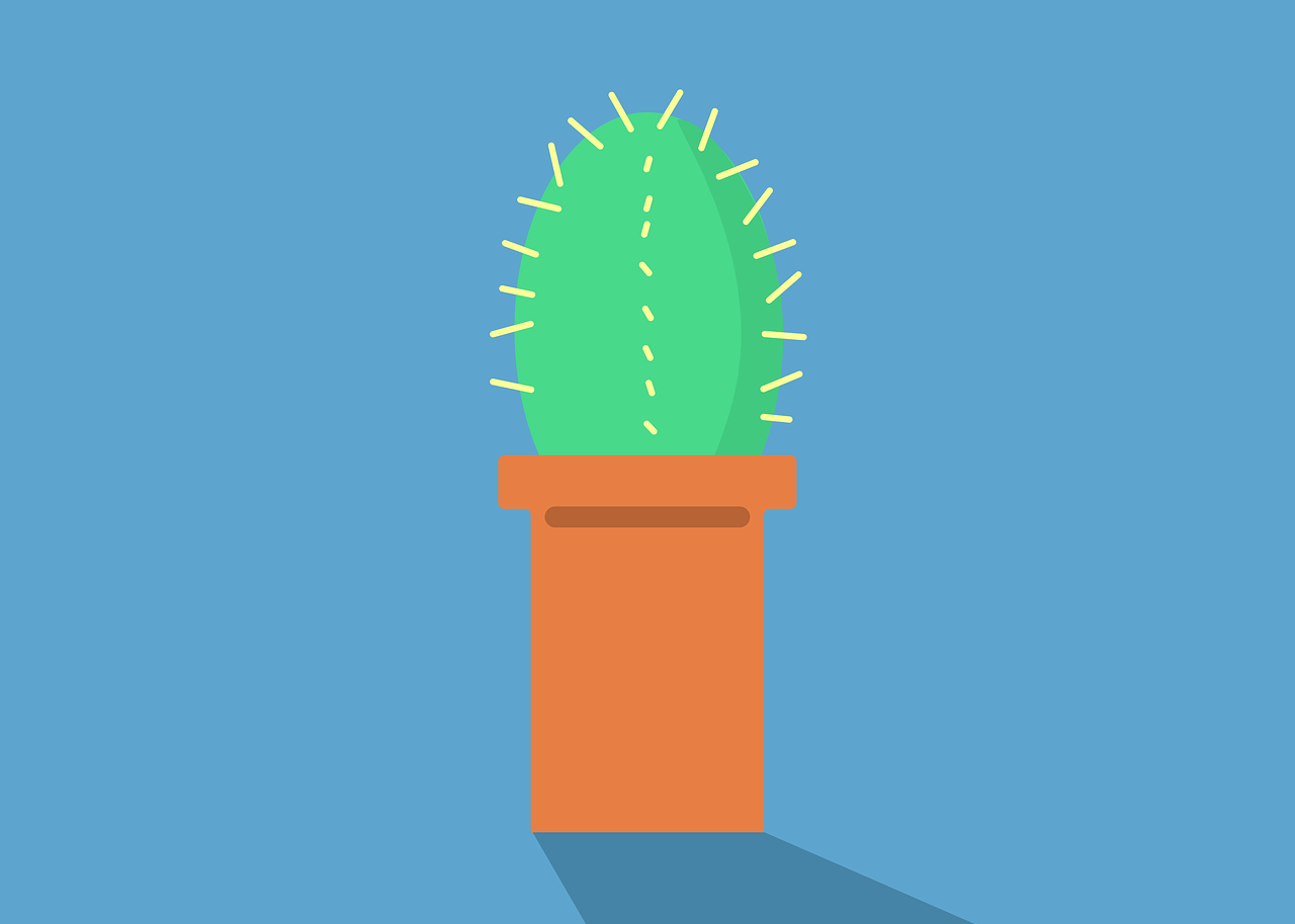 cactus-5982356-1280