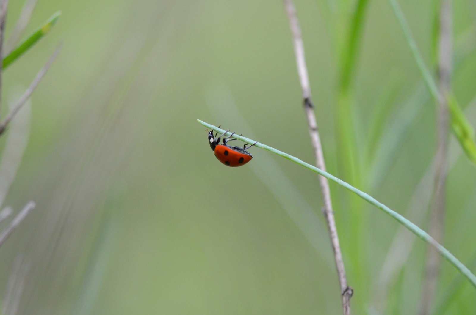 charlotte-descamps-1sbVyhfdoQM-unsplash