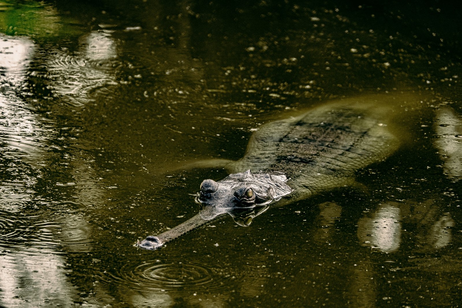 daniele-franchi-NXYagmYpUwU-unsplash