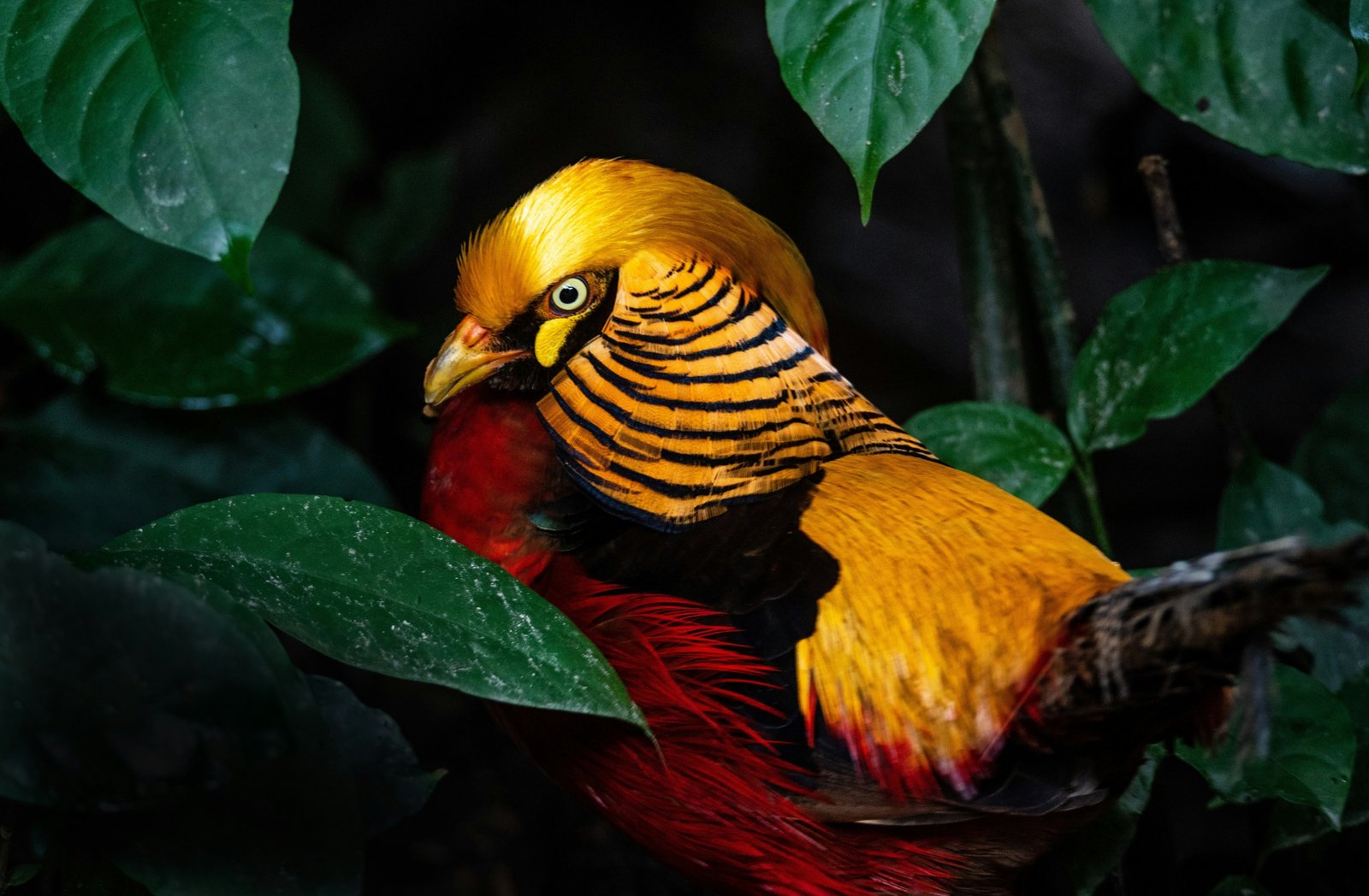 david-clode-cIip-TnZBEg-unsplash