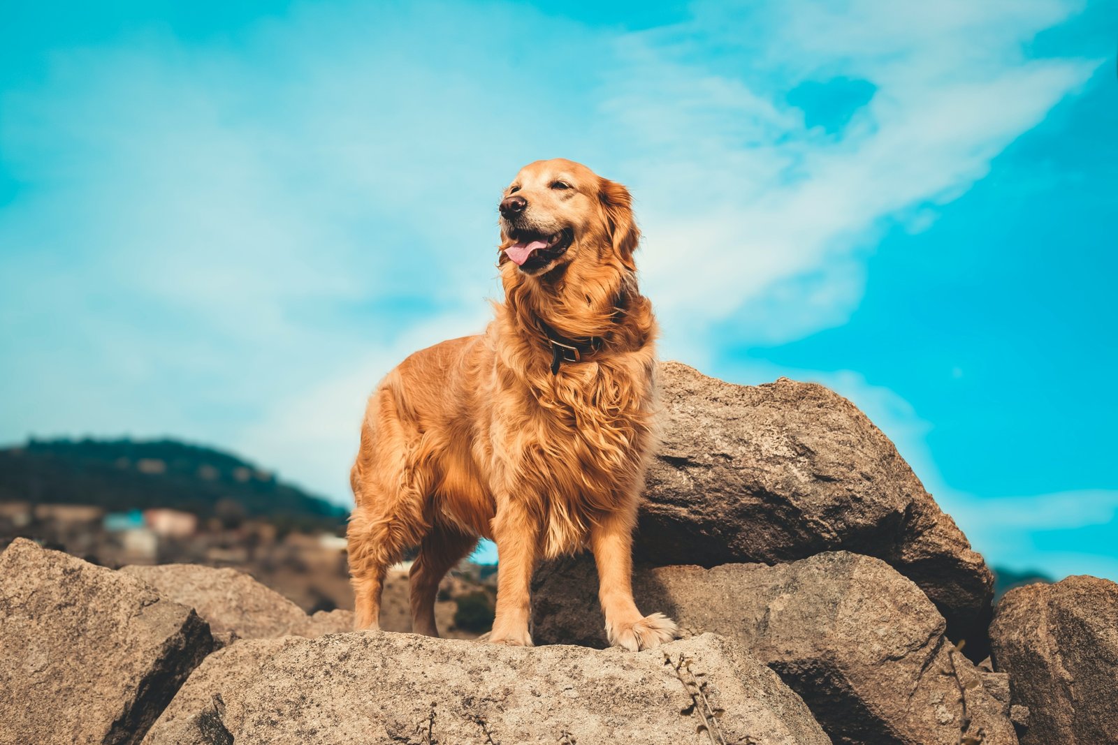 enis-yavuz-KKtuRtGkDys-unsplash
