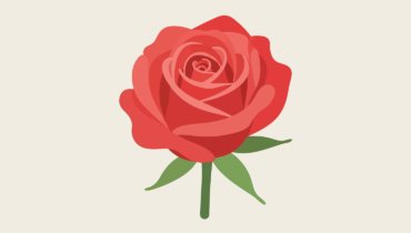 Name That Flower - Quiz
